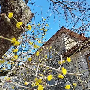 Bujtina Tusha Tirana
